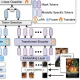 U2A: Unified Unimodal Adaptation for Robust and Efficient Multimodal Learning